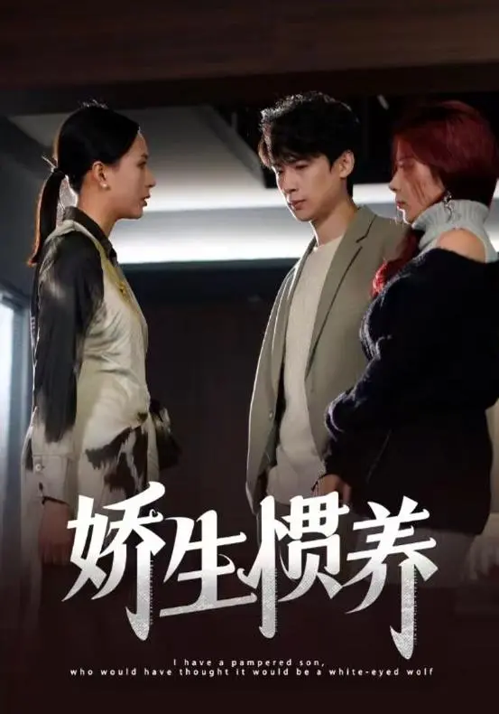 娇生惯养 海报