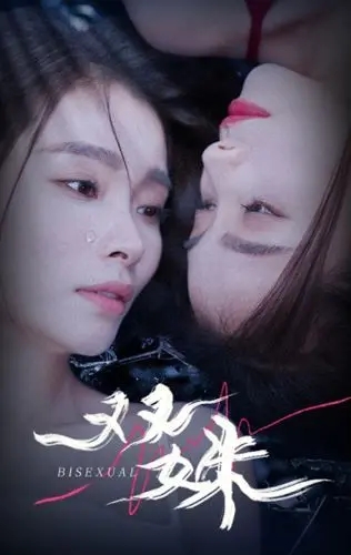 《双姝》：女性友谊与命运交织的动人故事