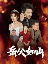 《岳父的礼物》：当传统遇上现代，爱与责任的暖心喜剧