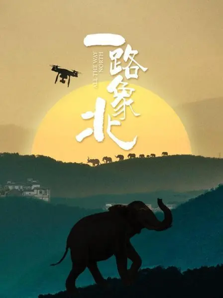 《一路'象'北》：一场跨越山河的生命奇迹，人象情深的暖心之旅