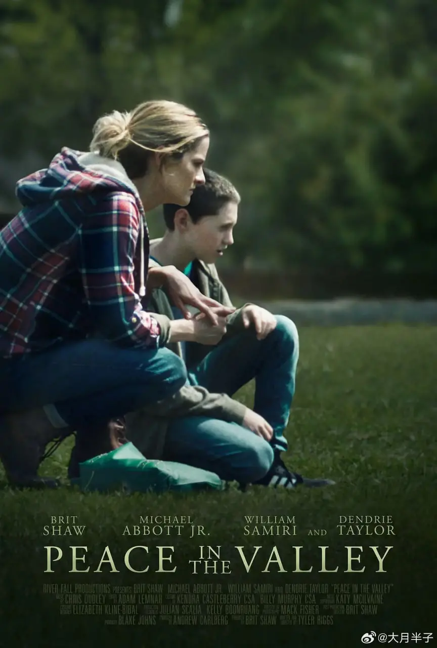 《山谷里的和平》影评：科技与人性的碰撞，一场关于信仰与救赎的探索