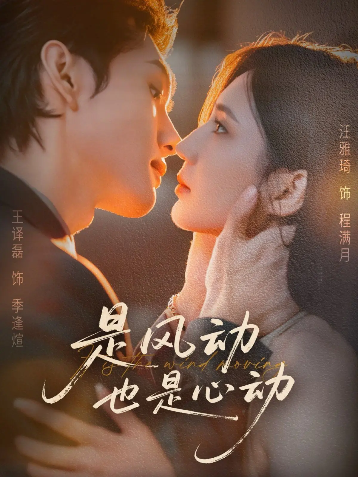 《是风动也是心动》：一段横跨岁月的深情告白，揭秘“重金求妈”背后的温情与治愈